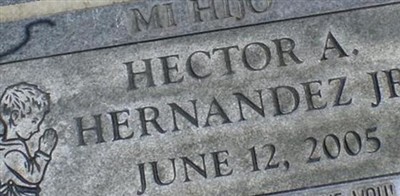 Hector A Hernandez, Jr