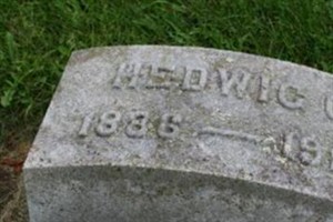 Hedwig C. Winkel