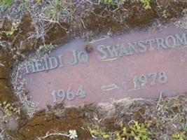 Heidi Jo Swanstrom