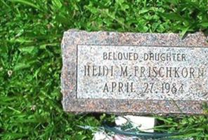 Heidi M. Frischkorn