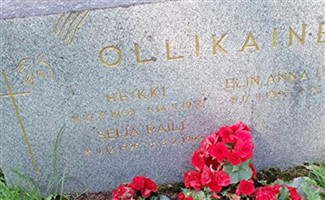 Heikki Ollikainen