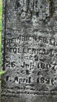 Heinrich Fried Mollenkamp