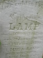 Heinrich Schaffner