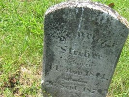 Heinrich Stecher