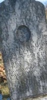 Helen Blevins
