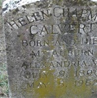 Helen Chapman Calvert