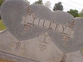 Helen L Tilley