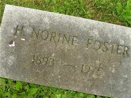 Helen Norine Foster