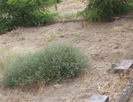 Helen O. Hillgen McMurray