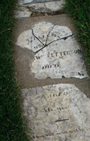 Helen Petterson