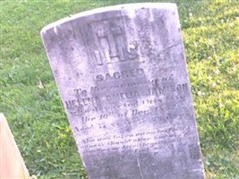 Helena Amelia Jamison Helena Amelia Jamison