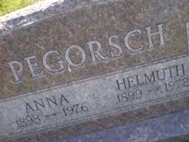 Helmuth J Pegorsch