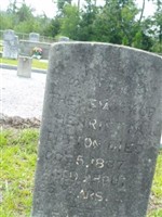 Henrietta Dutton