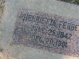 Henrietta Ferber Henrietta Ferber