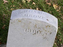 Henrietta Reineman Grove