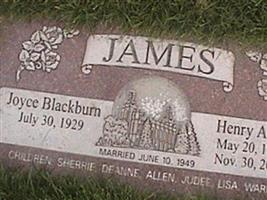 Henry Allen James, Sr