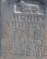 Henry Andrews Bailey