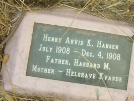 Henry Arvid K. Hansen Henry Arvid K. Hansen