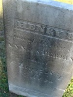 Henry B Stebbins
