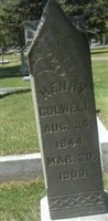Henry Colwell
