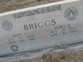 Henry D Briggs