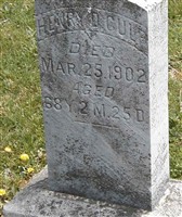 Henry D Culp Henry D Culp