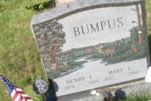 Henry E Bumpus