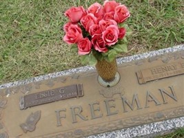 Henry E. Freeman