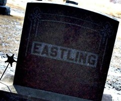 Henry Edgar Eastling