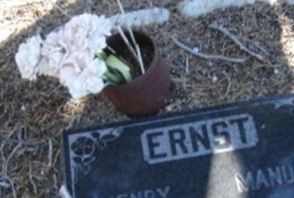 Henry Ernst Henry Ernst