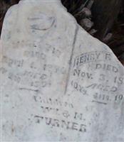 Henry F. Turner