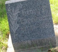 Henry F./H. Engelhardt Henry F./H. Engelhardt