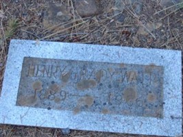 Henry Grady Walp