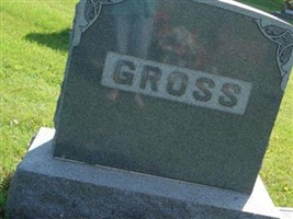 Henry Gross