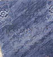 Henry "Harry" Hoy