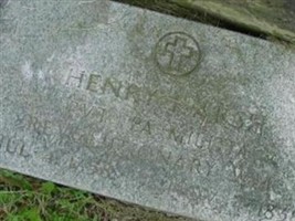 Henry Harsh (2398171.jpg)