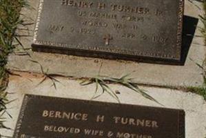 Henry Homer Turner, Jr