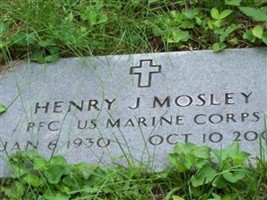 Henry J Mosley