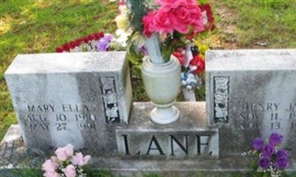 Henry Jake Lane