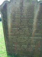 Henry John Lane