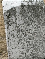 Henry Knepp