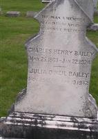 Henry L. Bailey