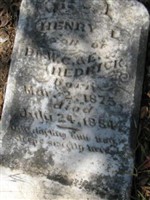 Henry L. Hedrick