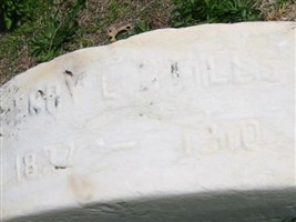 Henry L. Stiles