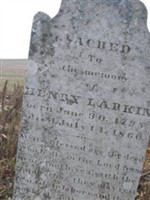 Henry Larkin Henry Larkin