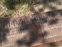 Henry M Fitzpatrick Henry M Fitzpatrick