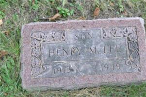 Henry M Lee