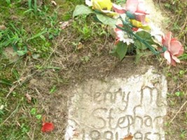 Henry M Stephan Henry M Stephan