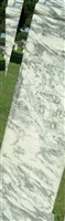 Henry McAuley Henry McAuley