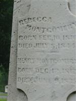 Henry Montgomery